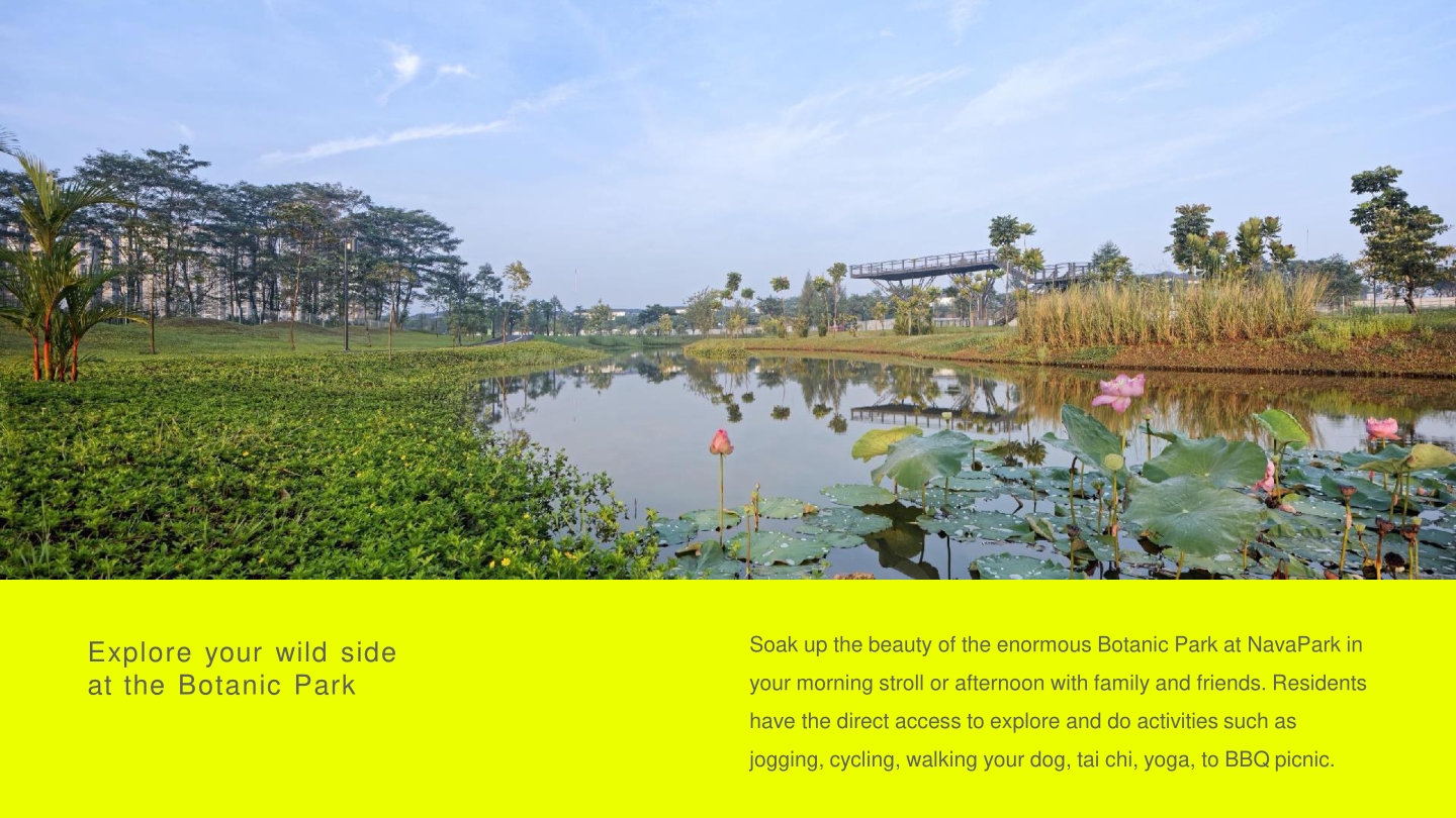 marigold-navapark-bsd