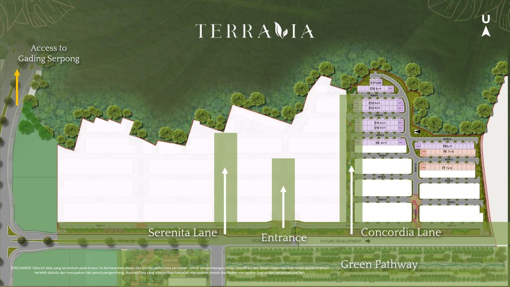 adora-primes-terravia-bsd